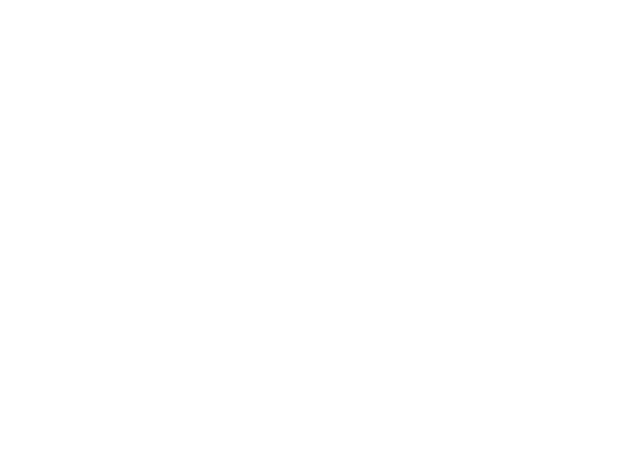 Bedel AI Box